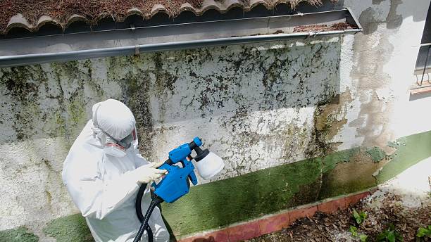 Mold Removal service in Lewisburg